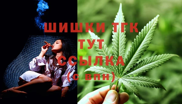 гидра Балахна