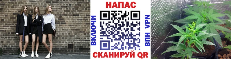 Бошки Шишки AK-47  Ржев 